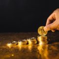 Nachhaltige Investmentfonds: Entwicklung und Bedeutung am deutschen Kapitalmarkt