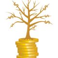 Renditeerwartung realistisch einschätzen: Erfahrungswerte und Fallstricke im deutschen Investmentmarkt