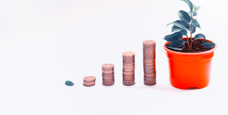 Die Geschichte von Bitcoin und Ethereum: Entstehung, Entwicklung und Einfluss auf die Weltwirtschaft