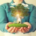 Wie Bioenergie zur nachhaltigen Geldanlage beiträgt