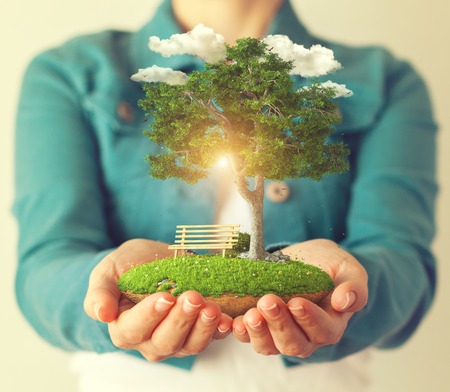 Wie Bioenergie zur nachhaltigen Geldanlage beiträgt
