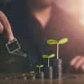 Steuerliche Optimierung von Aktiengewinnen: Strategien für Privatanleger in Deutschland