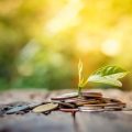 Behavioral Finance im deutschen Kontext: Psychologische Fallen beim langfristigen Investieren vermeiden