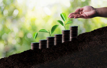 Value Investing versus Growth Investing: Was passt besser zur deutschen Wirtschaft?